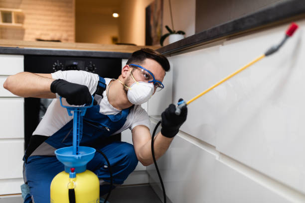 Best Emergency Pest Control  in Las Vegas, NM