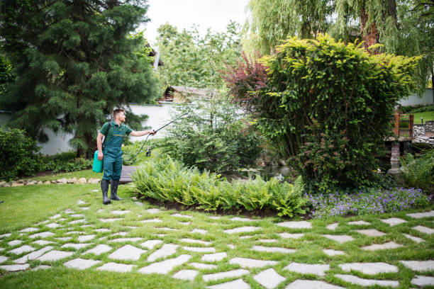 Best Affordable Pest Control Services  in Las Vegas, NM
