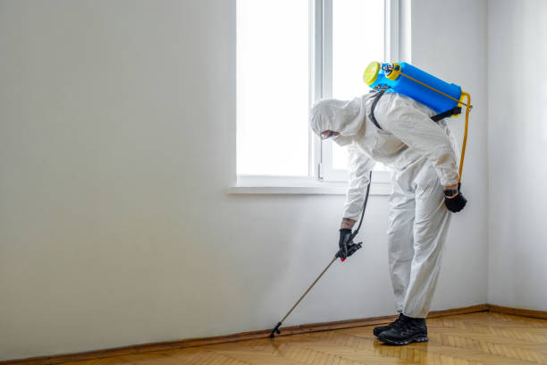 Best Pest Removal Services  in Las Vegas, NM