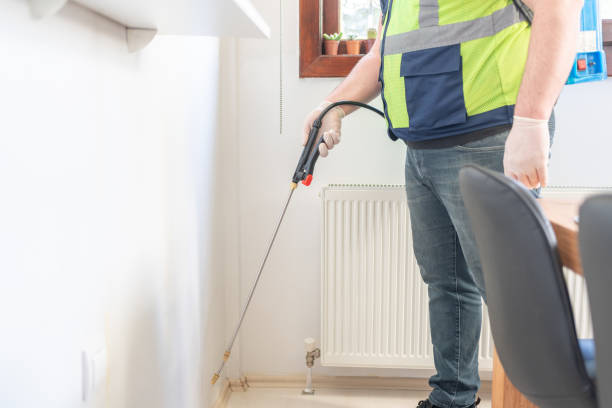 Best Affordable Pest Control Services  in Las Vegas, NM