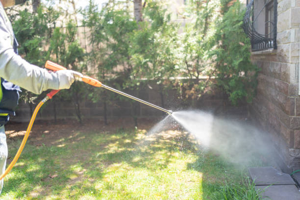 Pest Prevention Services in Las Vegas, NM