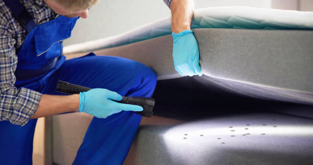 Best Pest Inspection Near Me  in Las Vegas, NM