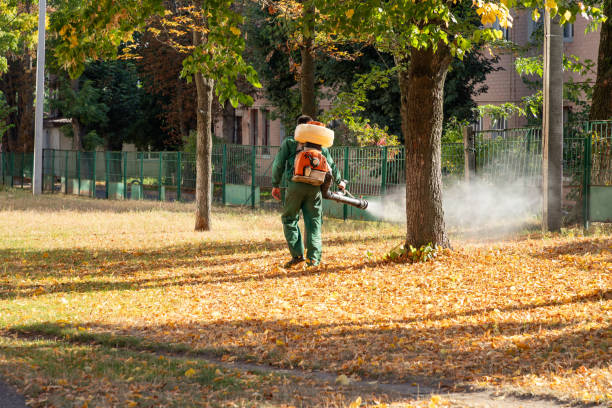 Best Cockroach Control Services  in Las Vegas, NM