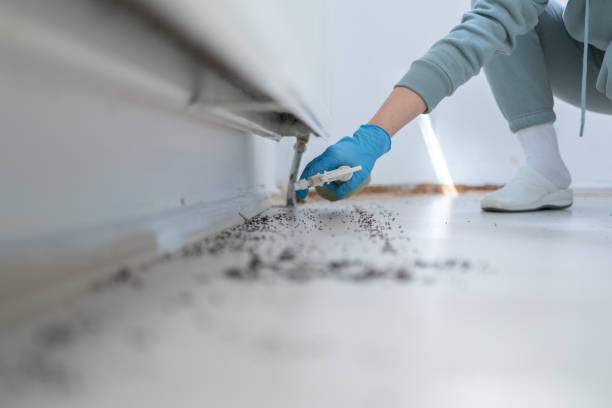 Best Wildlife Control Services  in Las Vegas, NM